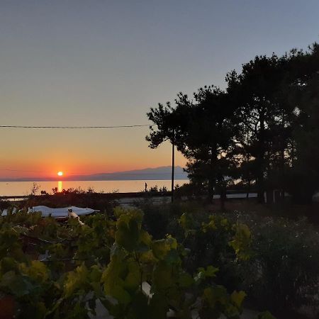 Το Σπίτι Με Το Πηγάδι - Wellcottage Thassos Skála Kallirákhis Eksteriør bilde