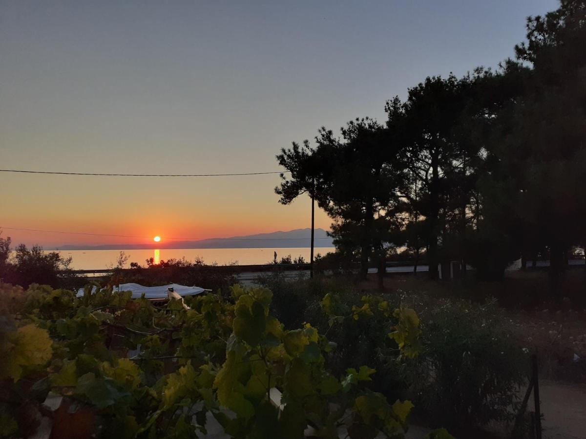 Το Σπίτι Με Το Πηγάδι - Wellcottage Thassos Skála Kallirákhis Eksteriør bilde