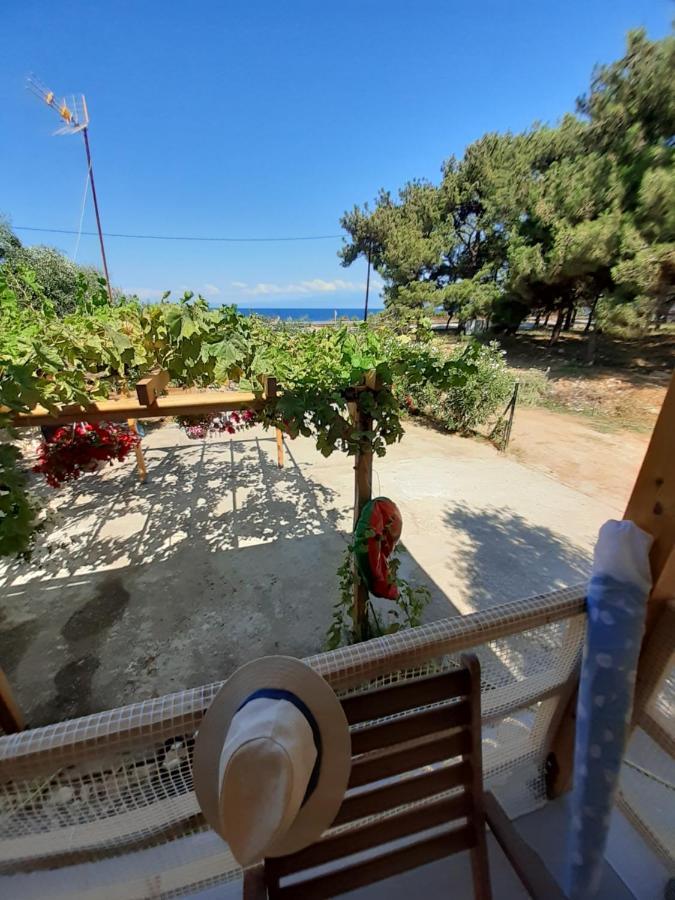 Το Σπίτι Με Το Πηγάδι - Wellcottage Thassos Skála Kallirákhis Eksteriør bilde