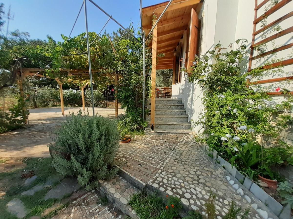 Το Σπίτι Με Το Πηγάδι - Wellcottage Thassos Skála Kallirákhis Eksteriør bilde