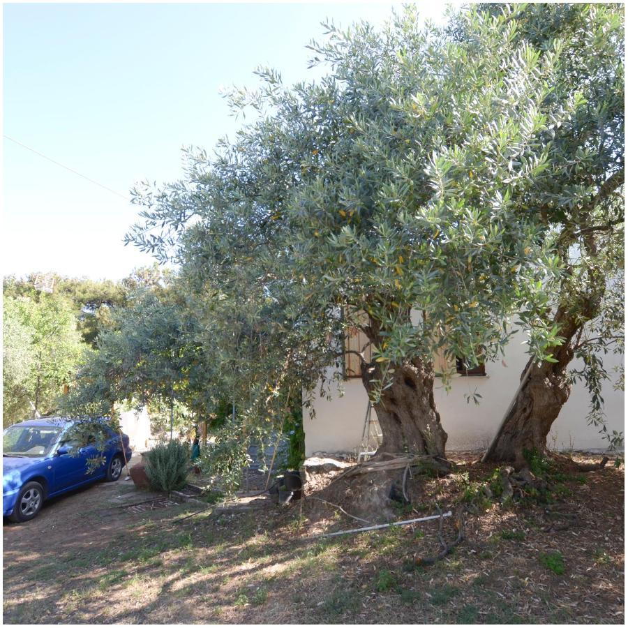 Το Σπίτι Με Το Πηγάδι - Wellcottage Thassos Skála Kallirákhis Eksteriør bilde