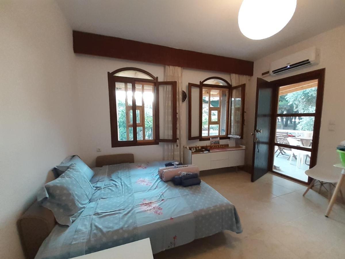Το Σπίτι Με Το Πηγάδι - Wellcottage Thassos Skála Kallirákhis Eksteriør bilde