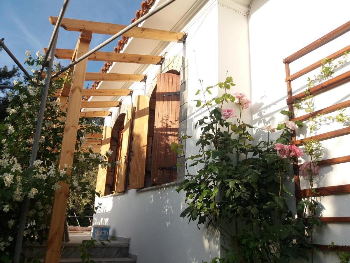 Το Σπίτι Με Το Πηγάδι - Wellcottage Thassos Skála Kallirákhis Eksteriør bilde