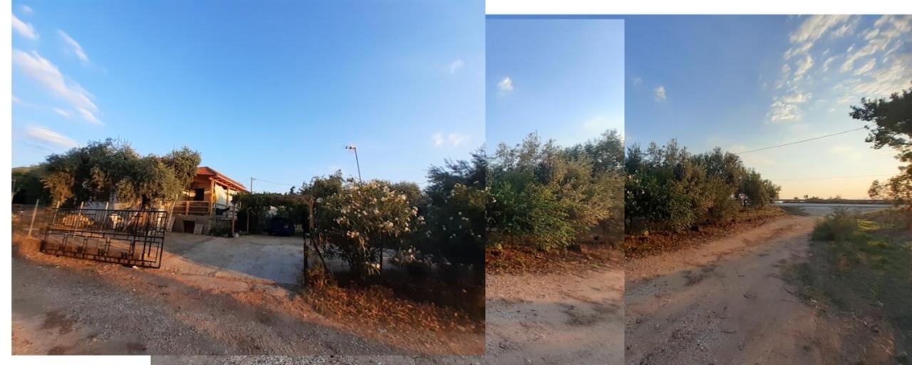 Το Σπίτι Με Το Πηγάδι - Wellcottage Thassos Skála Kallirákhis Eksteriør bilde